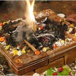 Sudarshana Homam