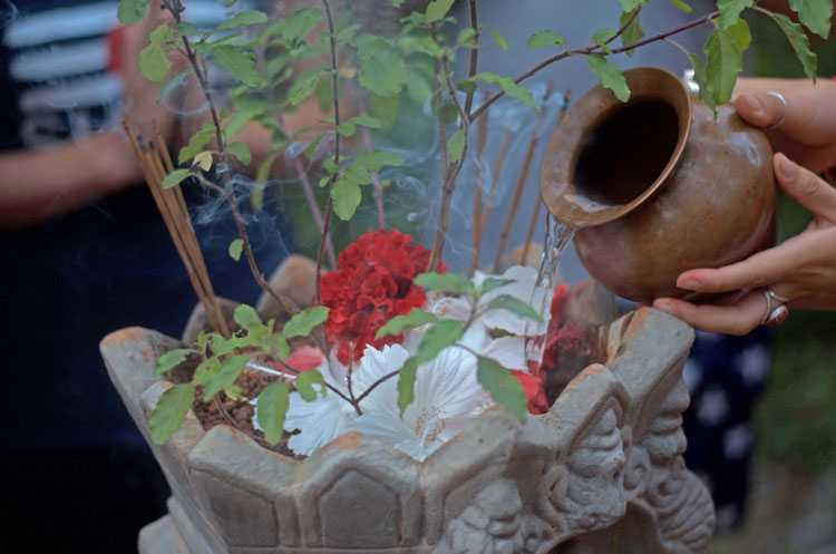 Tulsi Puja Being Performed
